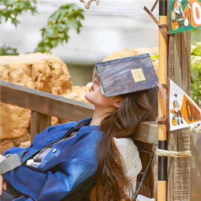 疯狂的麦咭第二季