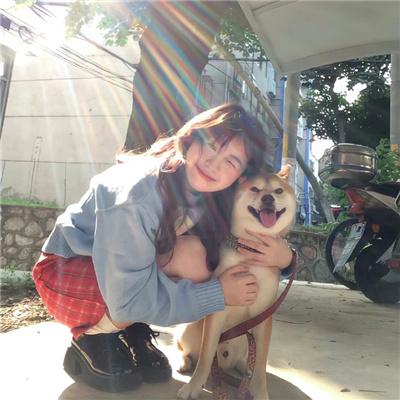 野兽家族第六季